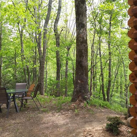 Two Rivers Cabins - The Mountaintop Brevard Exterior photo